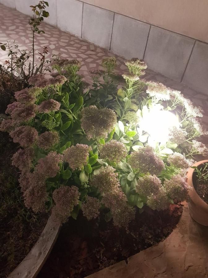 Гостевой дом Guest House Colosseum Area Бухарест-13