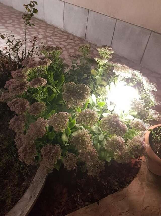 Гостевой дом Guest House Colosseum Area Бухарест-12